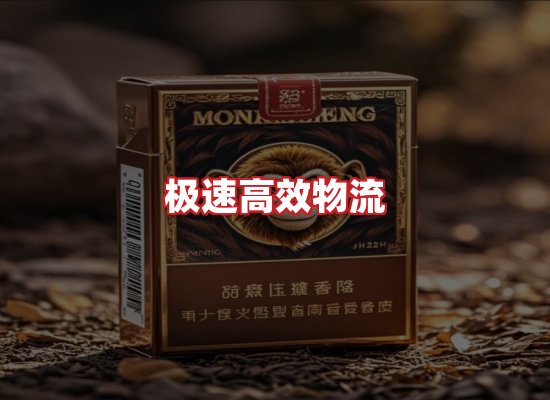 专业团队